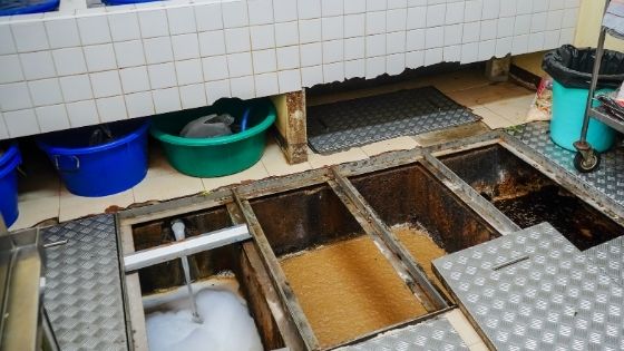 grease trap oil